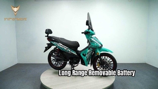 Removable Battery, Long Range Commuter