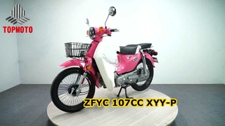 Motocicleta horizontal refrigerada a ar de 107 cc, semiautomática de 4 velocidades, freios a tambor, escalada forte e carga